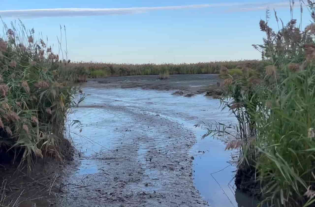Data center diesel spill prompts N.J. river cleanup