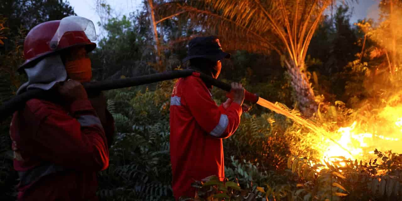 Indonesia forest fires spread haze to Malaysia amid El Nino