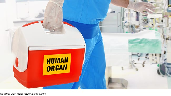 US organ transplant system needs urgent action to address systemic issues, GAO says
