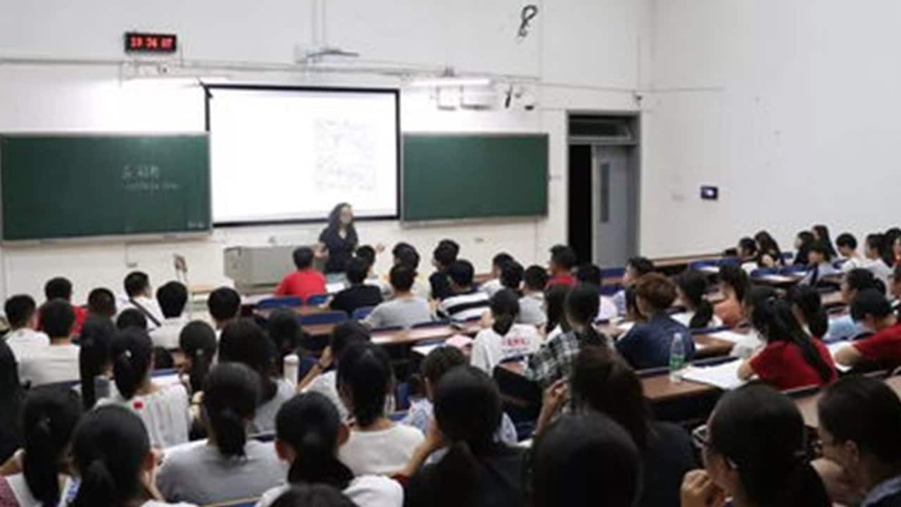 China teacher probed over 'sadfishing' claims of US$300,000 sacrifice