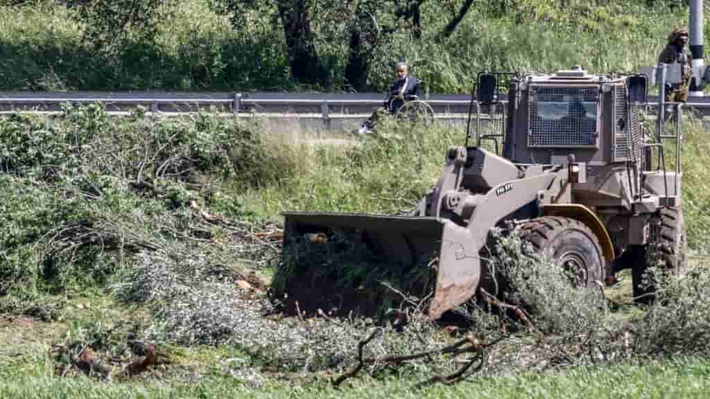 Israeli bulldozers uproot West Bank olive trees ahead of harvest