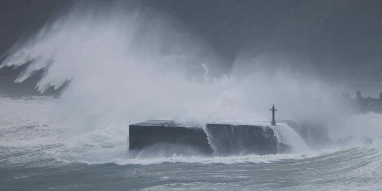 Typhoon Champi cancels hundreds of flights, shuts Taiwan