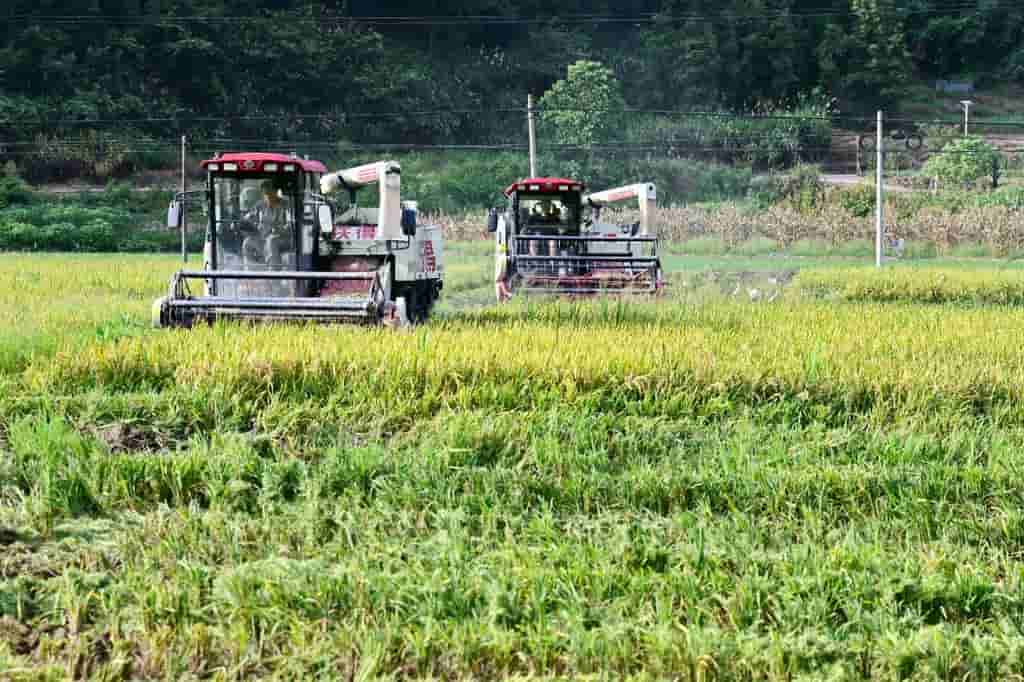 China aims to boost grain output by 50 million tonnes by 2030