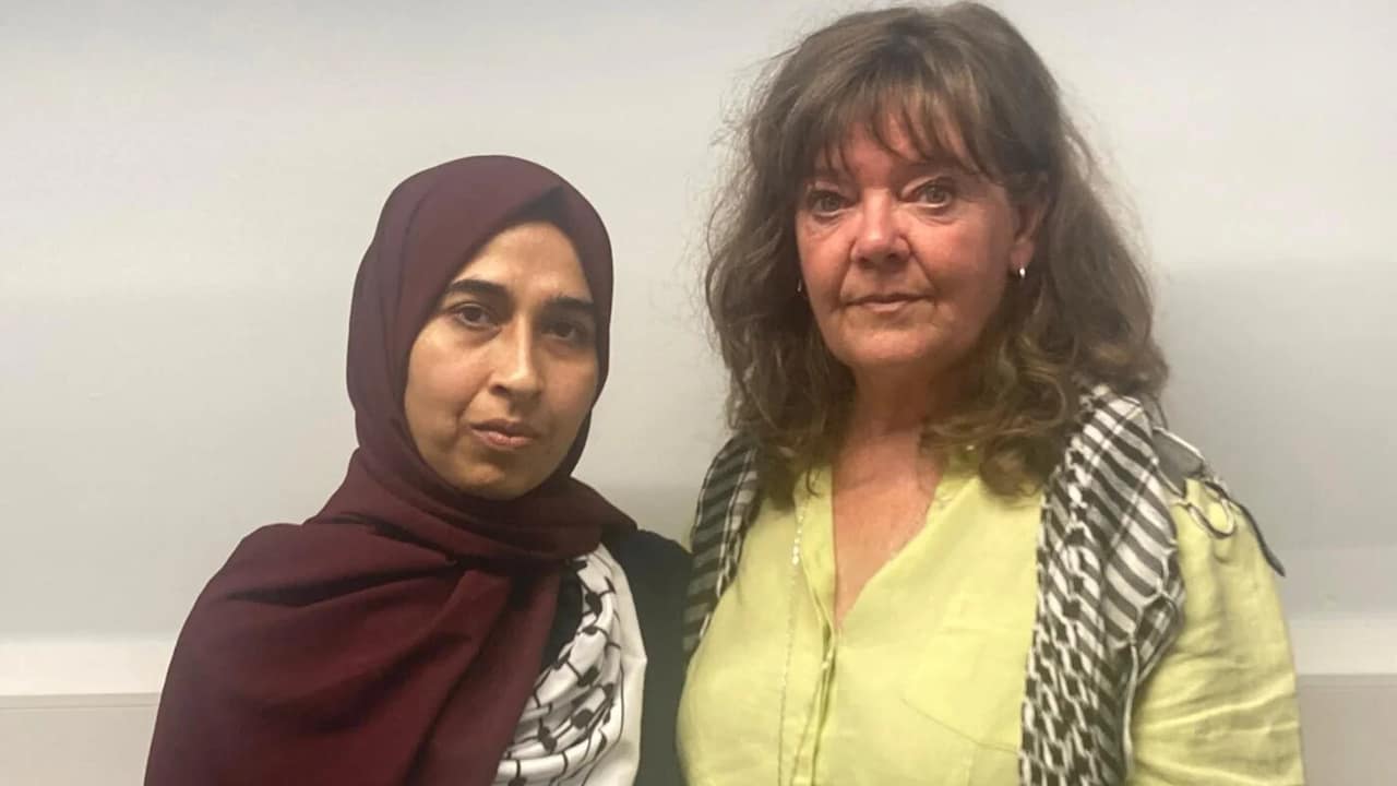 Palestine Action activists to appeal terror sentencing