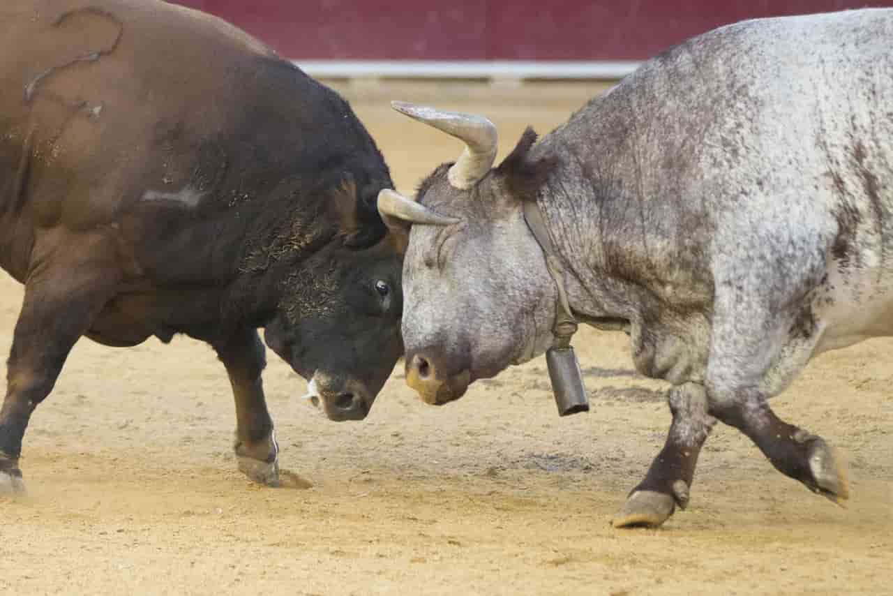 Bitcoin faces unprecedented macro environment as bond yields surge