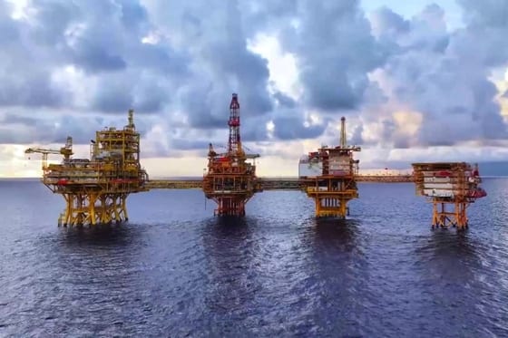 China deepwater gas project faces whale conservation concerns