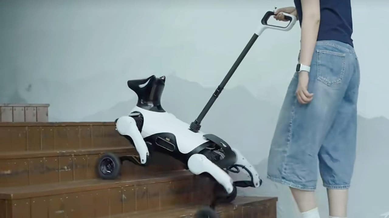 China debuts robot guide dog amid shortage of assistance animals