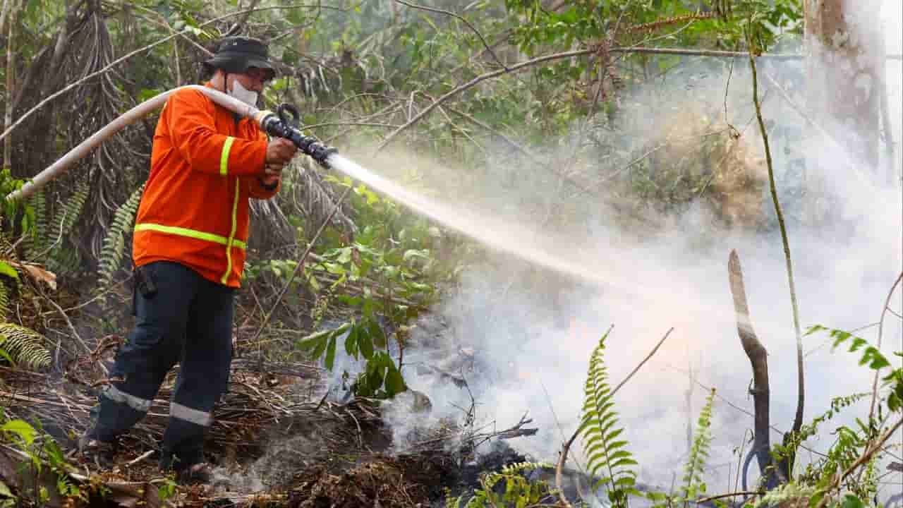 Wildfires threaten Indonesia's new capital as carrier ordered in