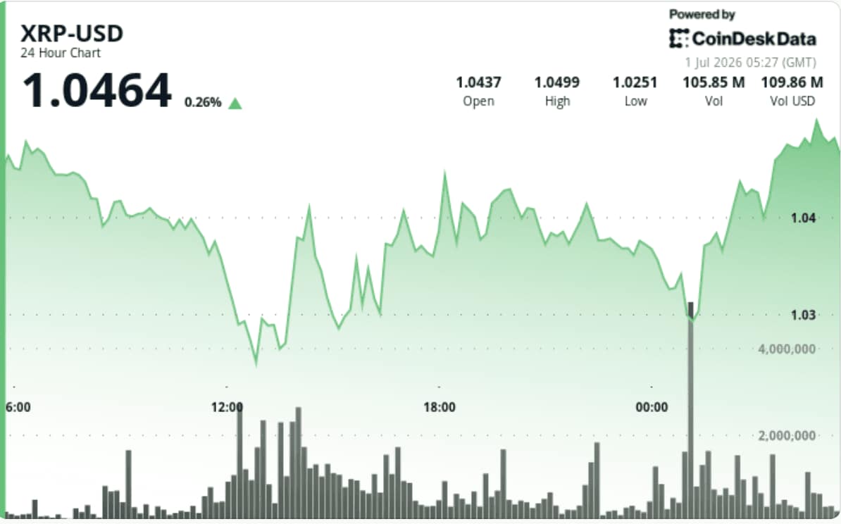 XRP Holds Above $1 After Leverage Flush, Network Activity Improves