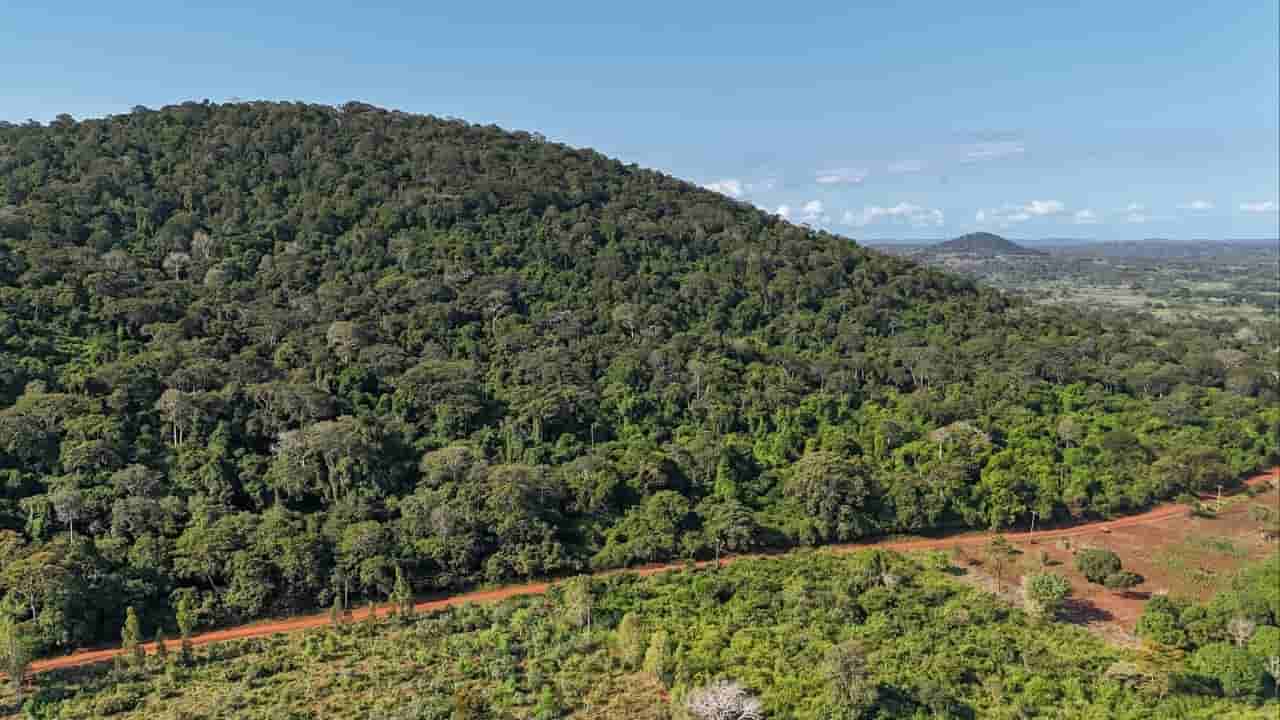 Kenya's Mrima Hill becomes flashpoint in US-China minerals race