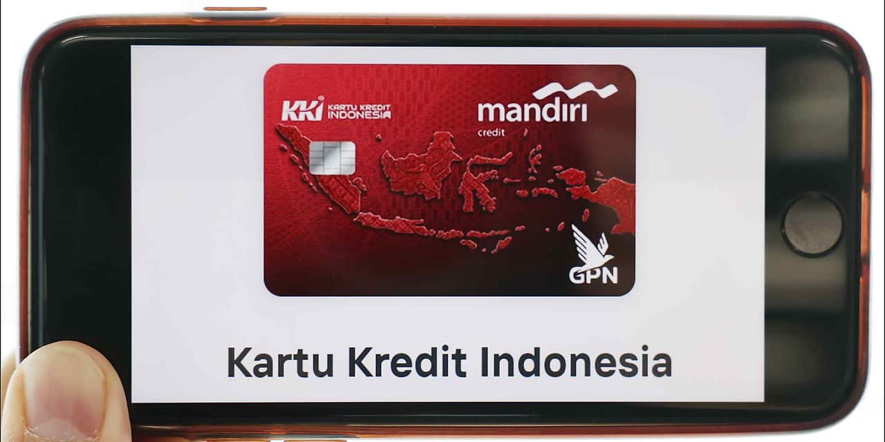 Indonesia launches domestic credit card system to challenge Visa, Mastercard