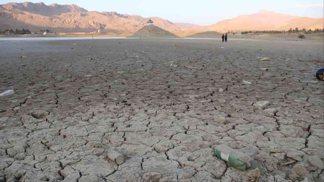 Nations agree biodiversity goals at Cop17 amid missed opportunities