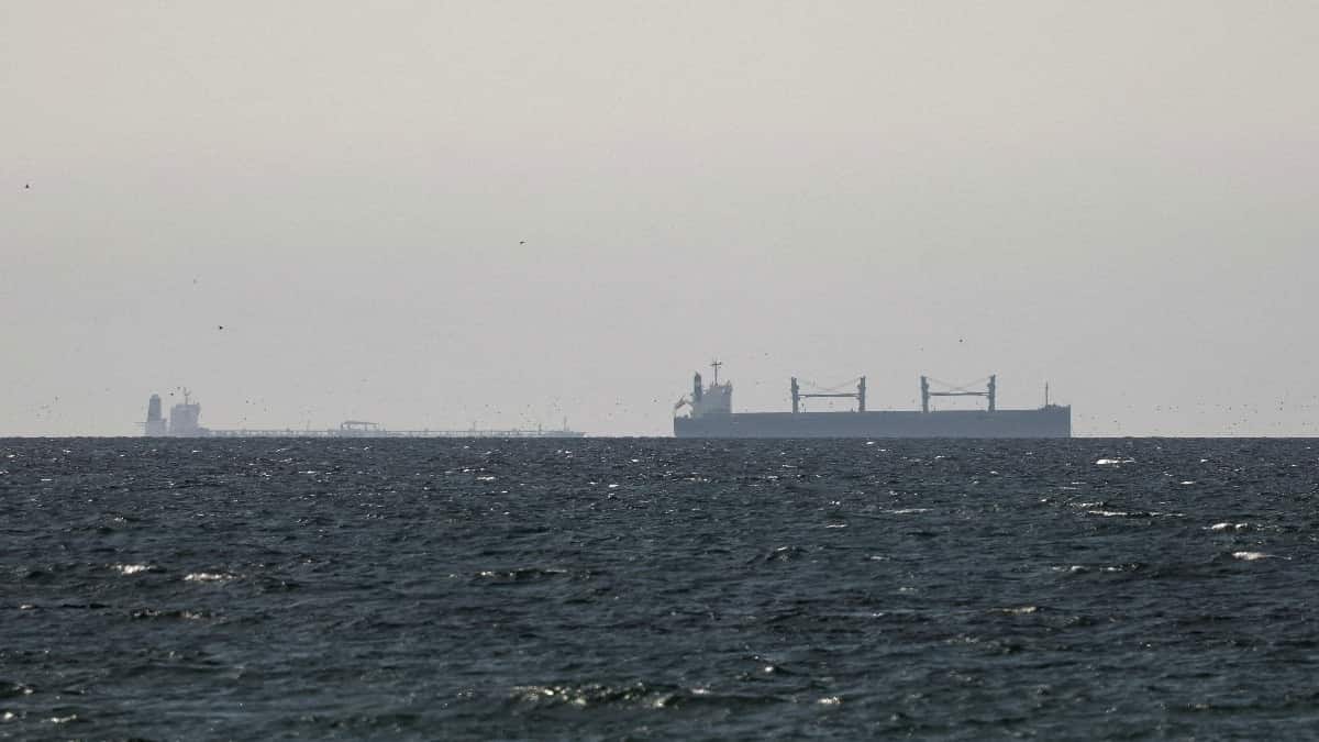 Panama-flagged cargo ship carrying iron ore sinks off India; 2 rescued
