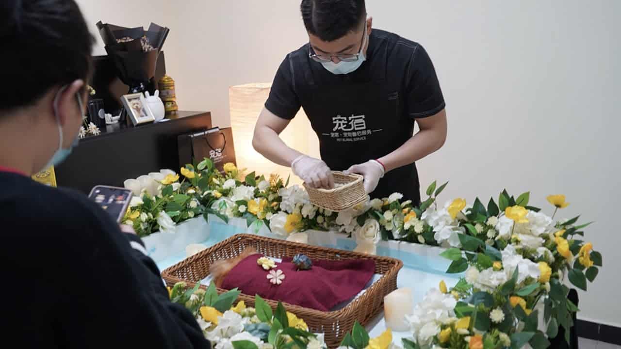 China's pet funeral industry operates without oversight