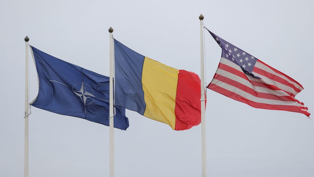 Trump administration excludes key allies from NATO working group