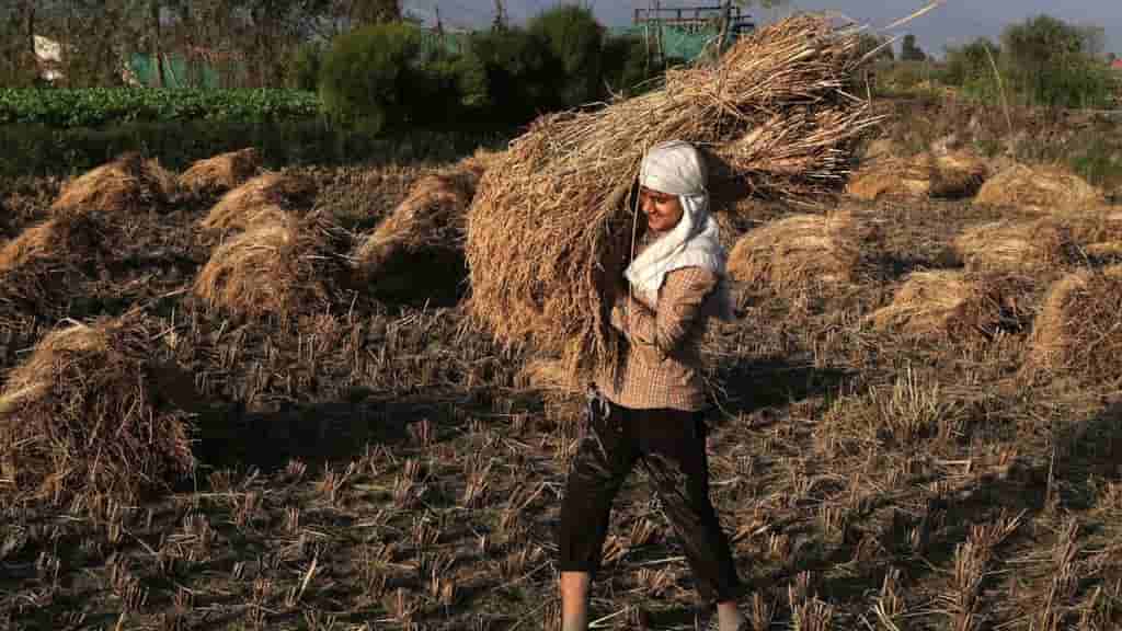 Iran war, El Nino threaten Asian food supplies, risk unrest