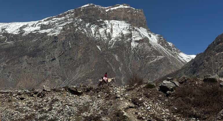 Himalayan Glacier Collapse Triggers Deadly Flood, Killing Hundreds