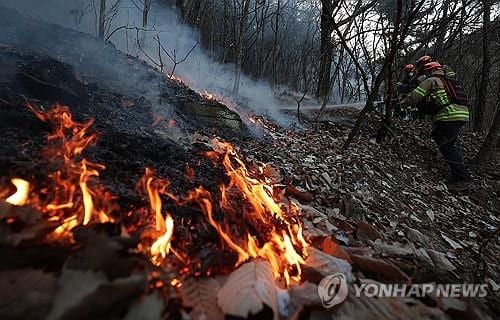 Government to Consider Easing Drone Regulations for Wildfire Battles