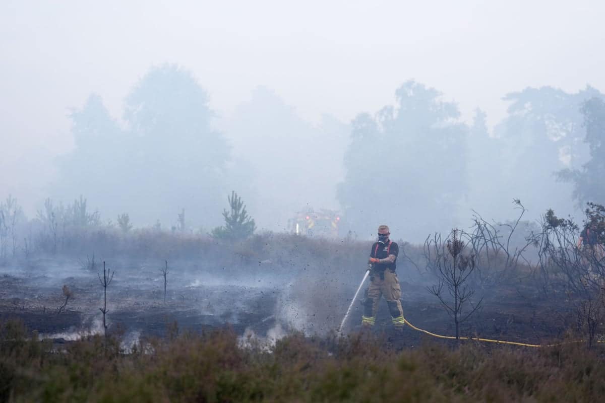 Suffolk wildfire continues to burn, National Trust launches appeal