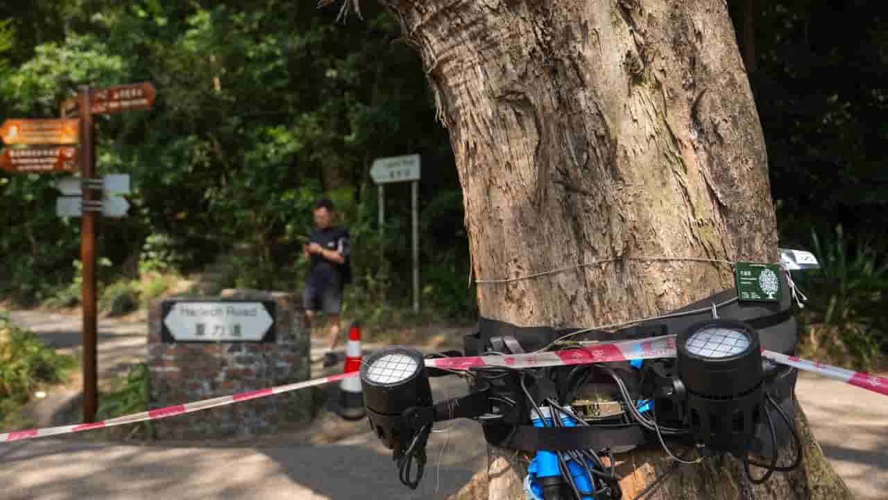 Hong Kong scraps Peak lighting project after public outcry