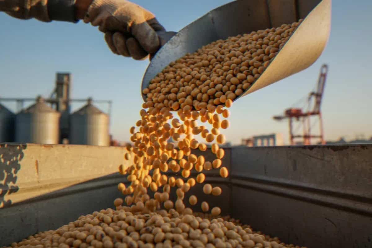 Wilmar reports 13% rise in pre-tax profit to $1.06 billion for 1H2026