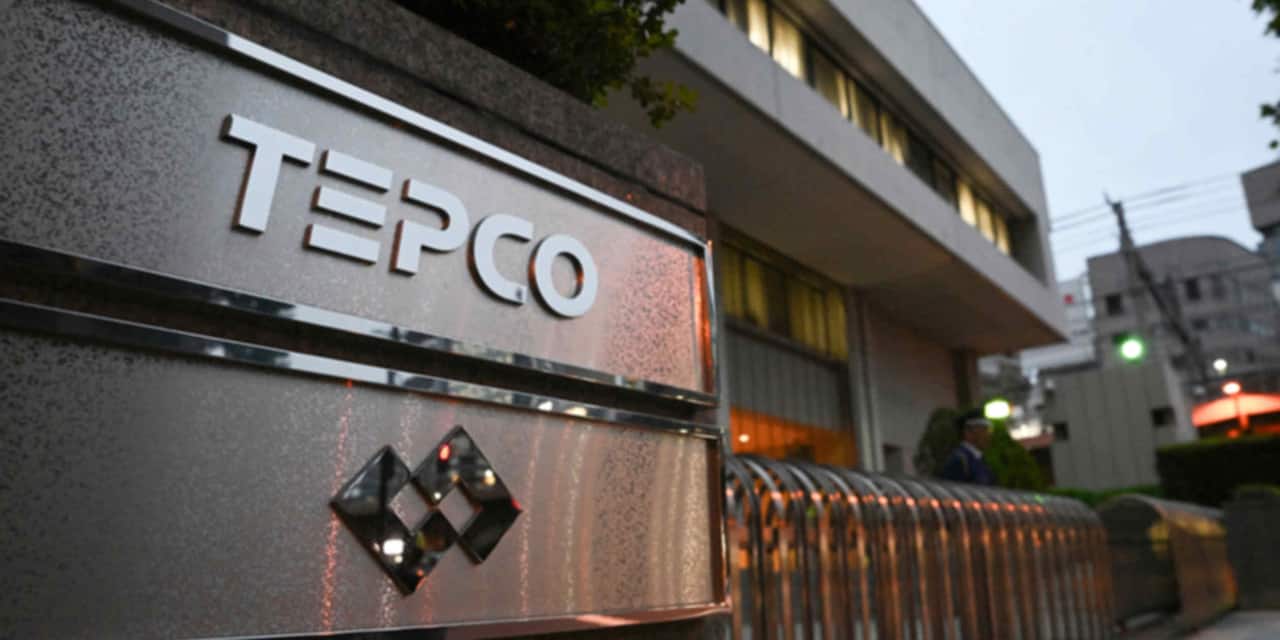 TEPCO develops AI to speed nuclear restarts