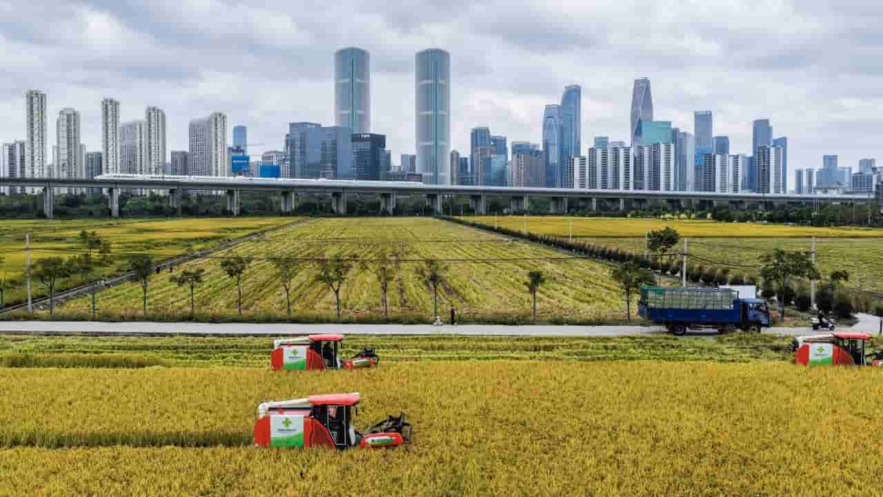 China and EU advance joint research amid trade friction