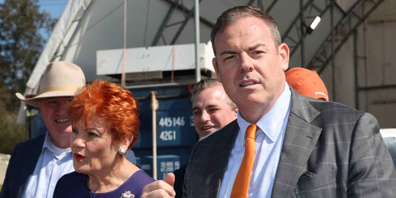 One Nation names Japanese-speaking investment banker as NSW leader