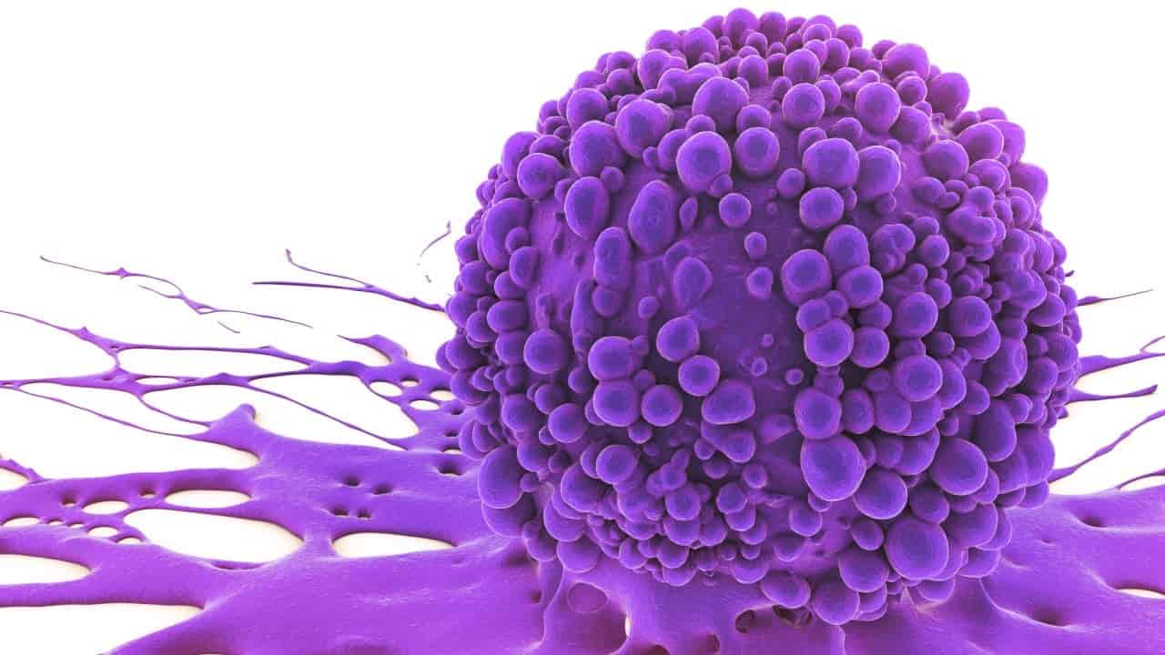 Chinese drug developers showcase AI-driven cancer treatments at global conference