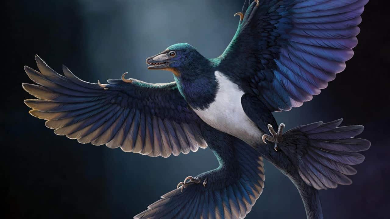 Four-winged dinosaur fossil discovery in China challenges single origin of flight