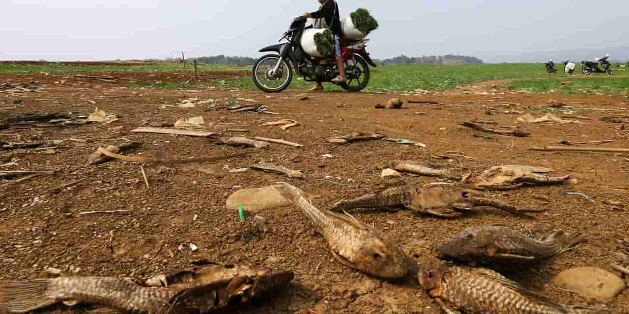 IMF warns El Nino worsening global food security, energy prices