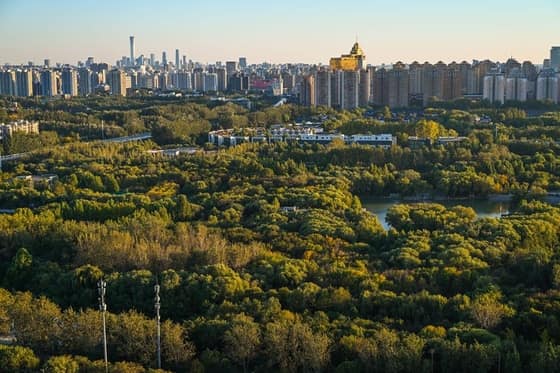 Beijing Land Sales Plunge 66% Amid Developer Caution
