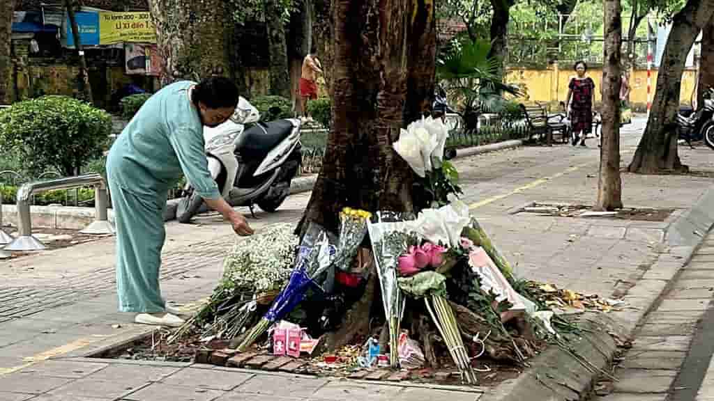 Vietnam's Gen Z: A flowering of dissent linked to a Hanoi tree