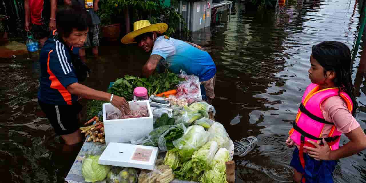 Thailand asks companies to cut egg exports by up to 50% amid flood losses