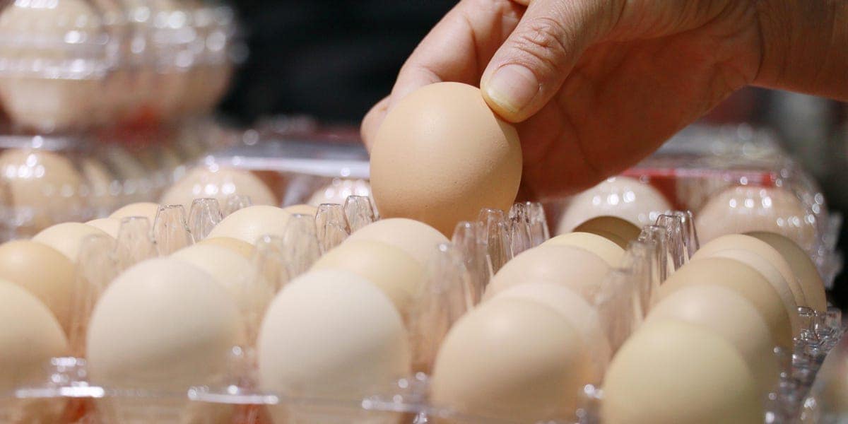 Egg producers agree to $3.3M settlement over alleged price fixing