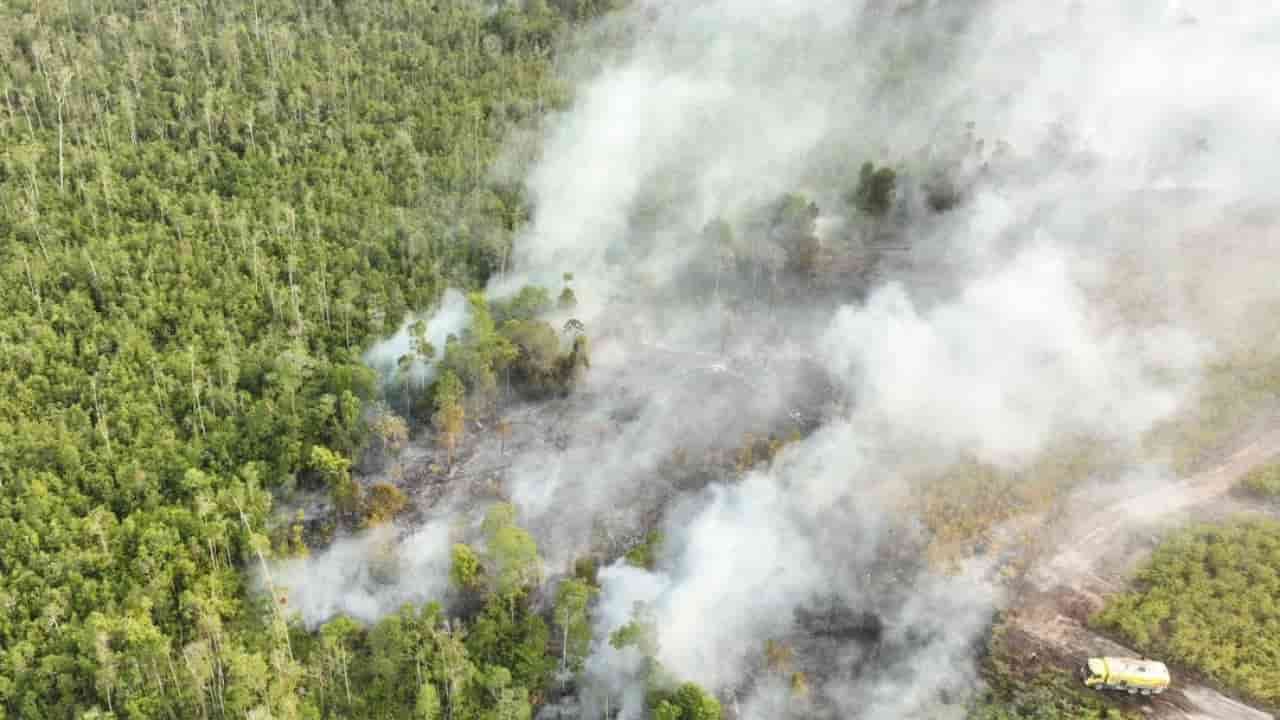 Indonesia arrests 72 over forest fires amid persistent haze