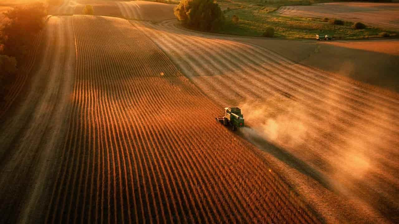 China Buys at Least 10 More Cargoes of US Soybeans