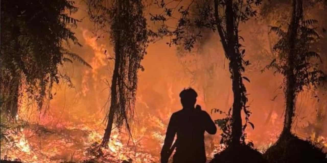 Indonesian wildfires threaten forest carbon projects