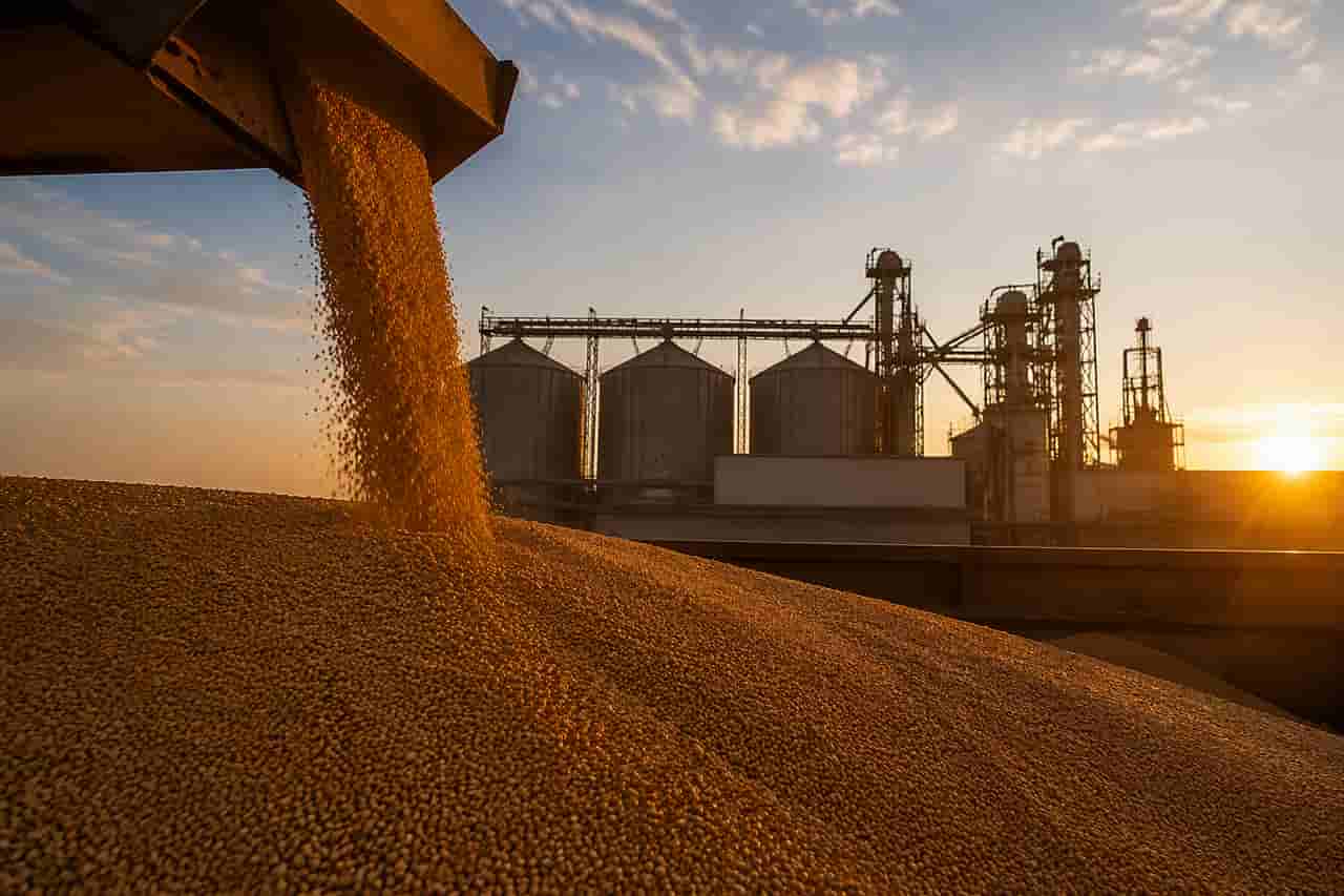 Bunge net income surges 91% on strong soy, softseed processing
