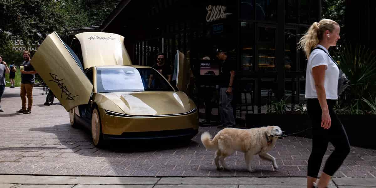 Tesla robotaxis face challenge spotting grey cats on dark roads, Musk says