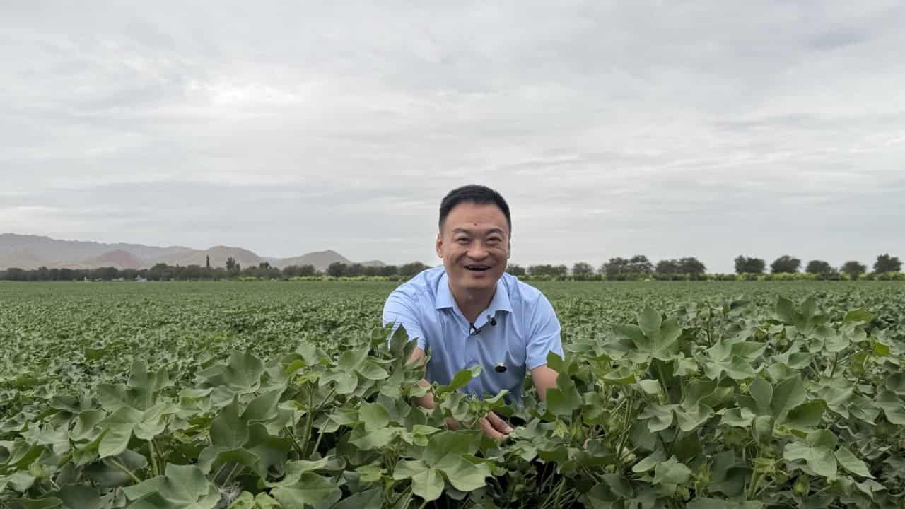 Xinjiang-Hong Kong link offers Central Asia trade bridge, but risks loom