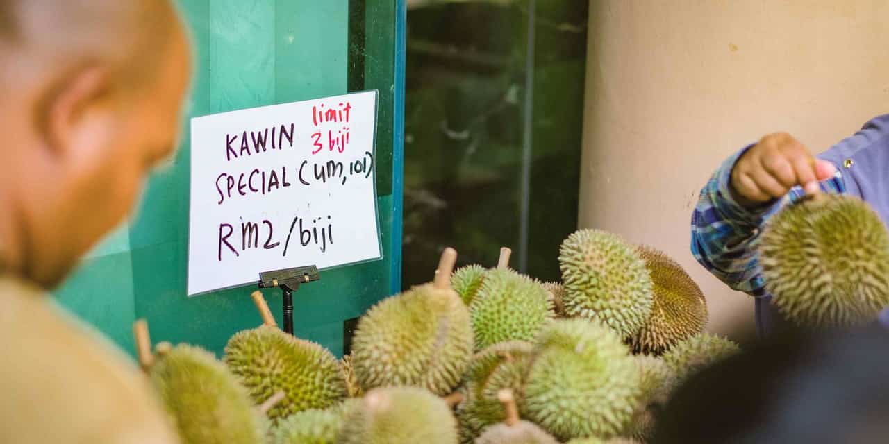 Malaysia's durian prices plunge amid oversupply
