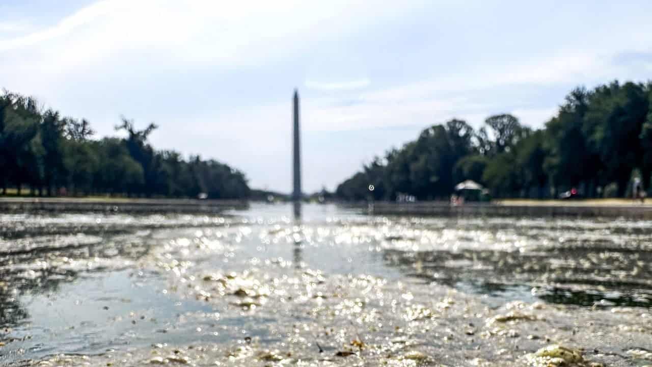 Trump Blames 'Vandals' for Reflecting Pool Issues, Threatens Prosecution
