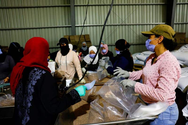 UN: Syria's Sweida reintegration plan stalled, divisions persist