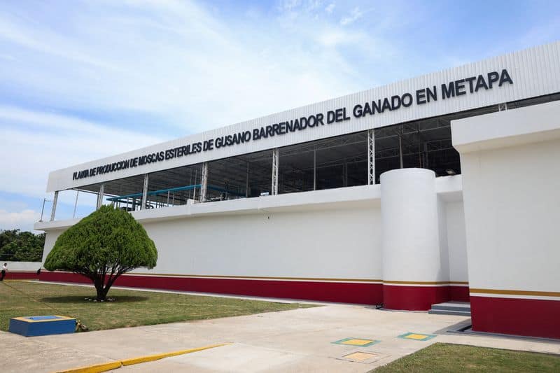 US, Mexico Open Sterile Fly Plant to Combat Screwworm Outbreak