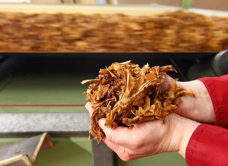 British American Tobacco to cut 9,000 jobs in AI-driven restructuring