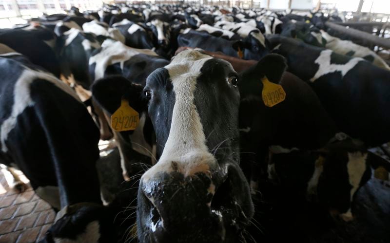 USDA Revises Beef Export Sales Downward Amid Data Concerns
