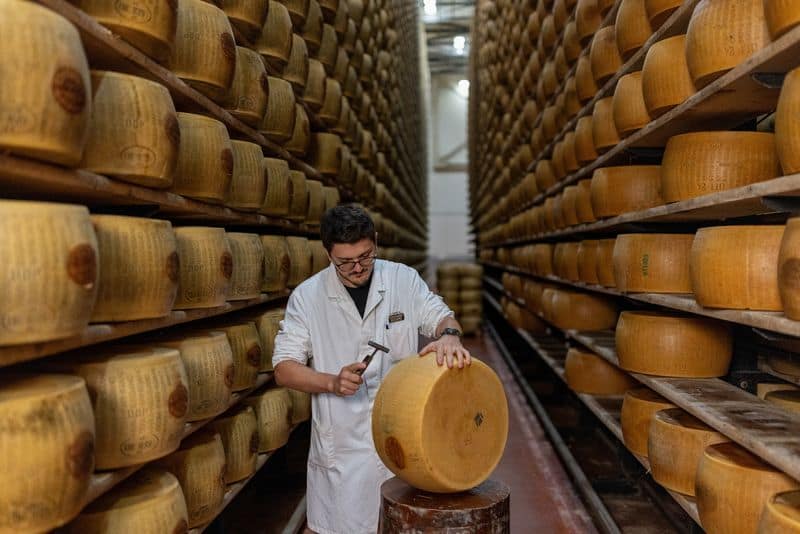 Extreme heat threatens Italy's Parmesan heartland