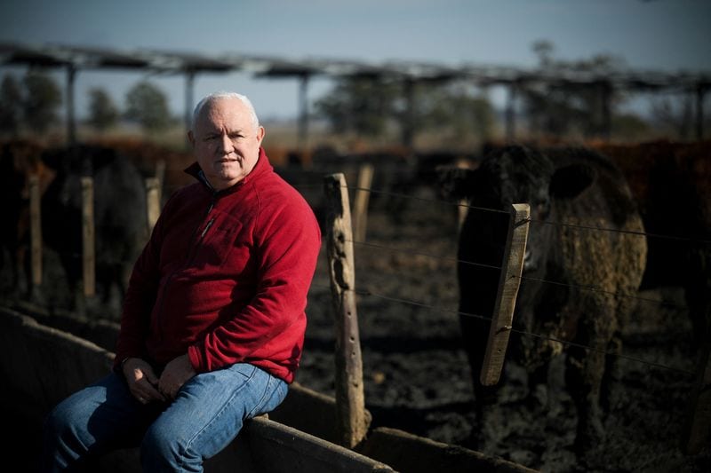 Argentine ranchers boost cattle weights for export boom