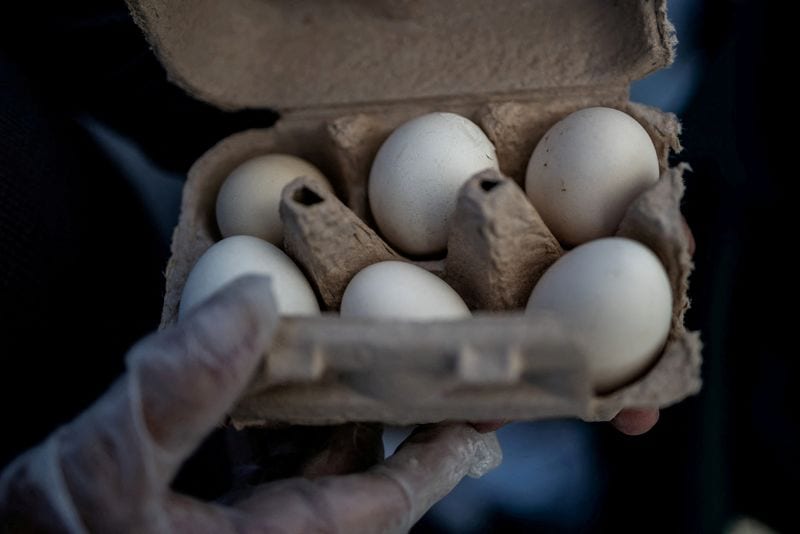 Poultry firm recalls 1.6 million dozen eggs over potential salmonella